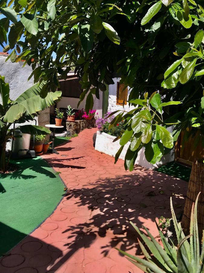 Finca Casa Madera 1 Icod De Los Vinos Exteriör bild