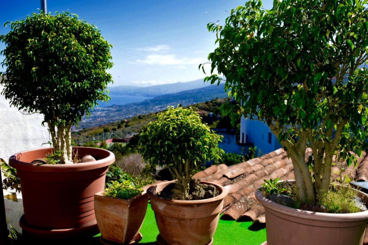 Finca Casa Madera 1 Icod De Los Vinos Exteriör bild